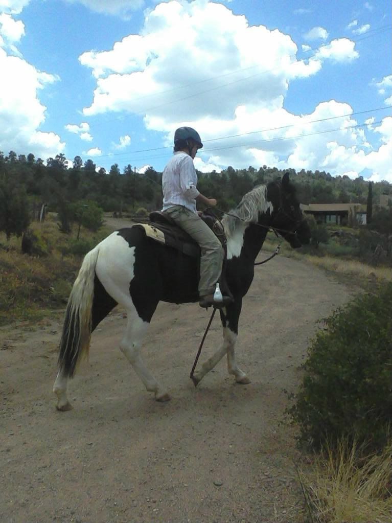 Finding therapeutic riding for veterans The Horse Forum